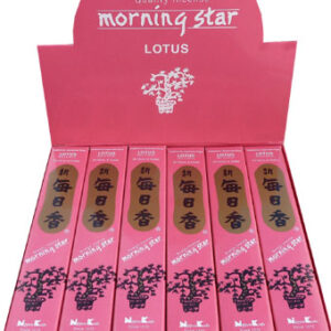 Incenso giapponese morning star loto confezione da 50 bastoncini